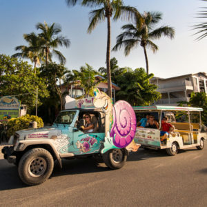 S-Car-Go Transport - Captiva Island things to do